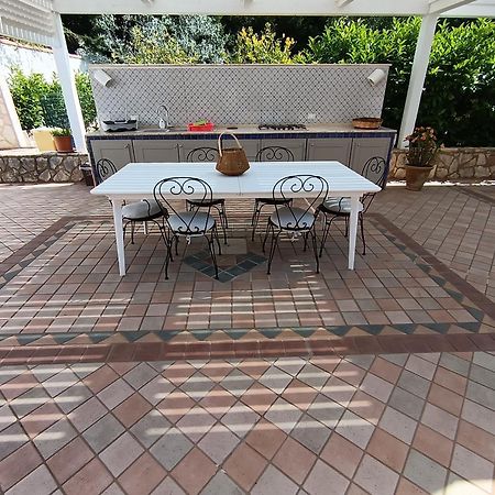 Villa Hibiscus Castellammare del Golfo Exterior foto